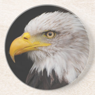 Porträt des Adlers Getränkeuntersetzer