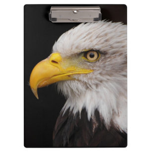 Porträt des Adlers Klemmbrett