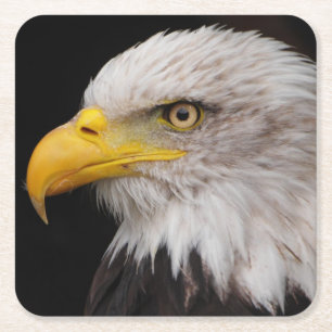 Porträt des Adlers Rechteckiger Pappuntersetzer