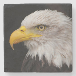 Porträt des Adlers Steinuntersetzer