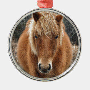 Porträt des Assateague Horse Mieke's Noe'lani Ornament Aus Metall