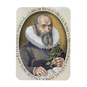 Porträt des Basilikums Besler (1561-1629) im Jahr Magnet