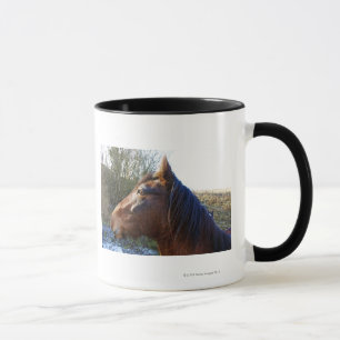 Porträt des braunen Pferds am kalten Tag Tasse