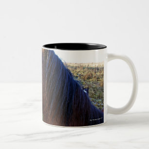 Porträt des braunen Pferds am kalten Tag Zweifarbige Tasse
