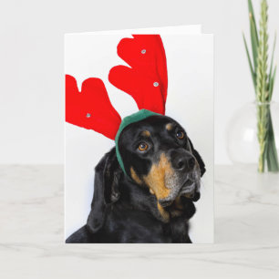 Porträt des Coonhoundhundes, tragende rote Geweihe Feiertagskarte