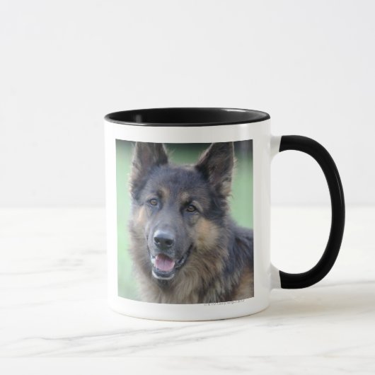 Porträt des Deutschen Sheppard Tasse (Rechts)