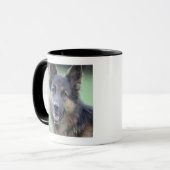Porträt des Deutschen Sheppard Tasse (Vorderseite Links)