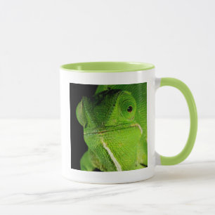 Porträt des flap-hals-chamäleons tasse