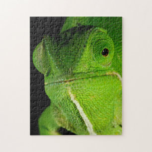 Porträt des flap-halsigen Chamäleons Puzzle