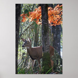 "Porträt des Friedens " Poster