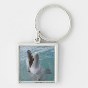 Porträt des gemeinen Bottlenose-Delphins, Schlüsselanhänger