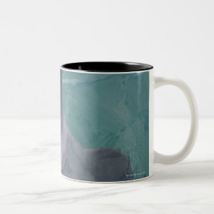 Porträt des gemeinen Bottlenose-Delphins, Zweifarbige Tasse