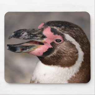 Porträt des Humboldt-Pinguins Mousepad