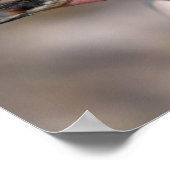 Porträt des Humboldt-Pinguins Poster (Ecke)