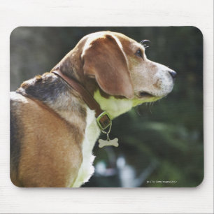 Porträt des Hundes Mousepad