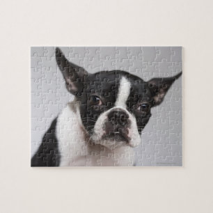 Porträt des Hundes Puzzle