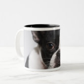 Porträt des Hundes Zweifarbige Tasse (Vorderseite Links)