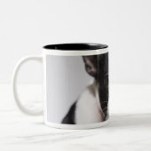 Porträt des Hundes Zweifarbige Tasse (Links)