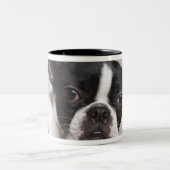 Porträt des Hundes Zweifarbige Tasse (Mittel)