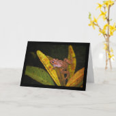 Porträt des Iberischen Wasserfroschs Karte (Gelbe Blume)