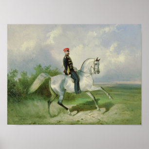 Porträt des Kaisers Alexander II 1876 Poster