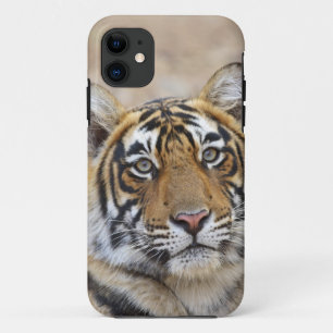 Porträt des königlichen Bengal-Tigers, Ranthambhor Case-Mate iPhone Hülle