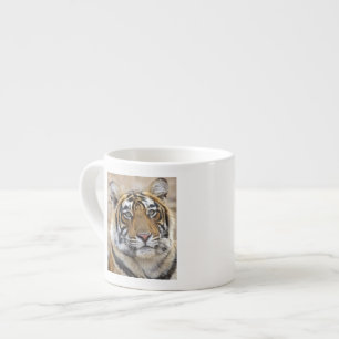 Porträt des königlichen Bengal-Tigers, Ranthambhor Espressotasse