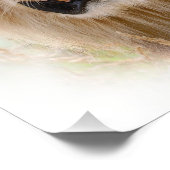 Porträt des Löwen Fotodruck (Ecke)