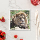 Porträt des Löwen von vorne gesehen Serviette (Beispiel)