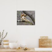 Porträt des männlichen Golden Affen in Baum Poster (Küche)