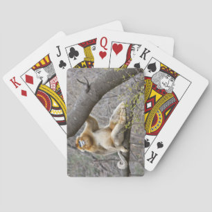 Porträt des männlichen goldenen Affen im Baum Spielkarten