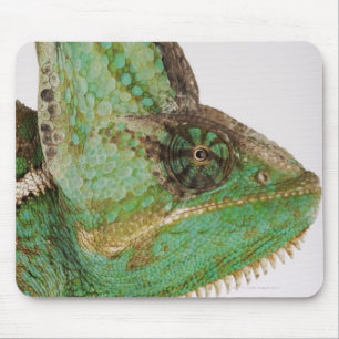 Porträt des mutig farbigen Jemenchamäleons Mousepad