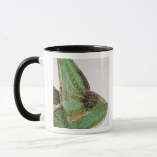 Porträt des mutig farbigen Jemenchamäleons Tasse
