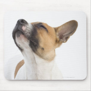 Porträt des nicht reinrassigen Welpen Mousepad