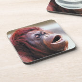 Porträt des Orang-Utans Getränkeuntersetzer (Linke Seite)