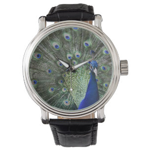 Porträt des Pfaus mit Federn heraus Armbanduhr
