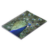 Porträt des Pfaus mit Federn heraus Notizblock (Linke Seite)