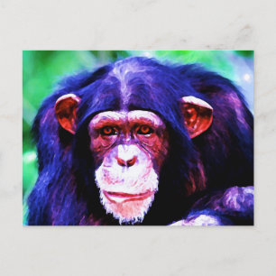 Porträt des Schimpansen Postkarte