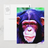 Porträt des Schimpansen Postkarte (Vorne/Hinten)