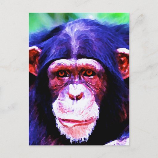 Porträt des Schimpansen Postkarte (Vorderseite)