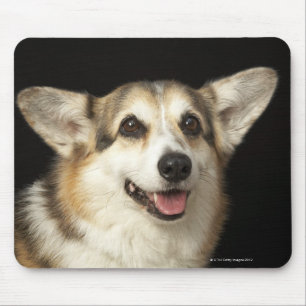 Porträt des schwarzen, braunen und weißen Corgi Mousepad