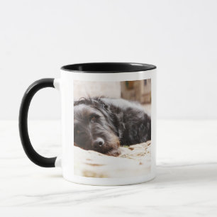 Porträt des schwarzen Hundes liegend im Yard Tasse