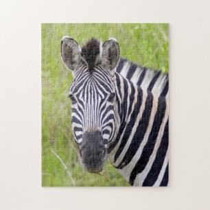 Porträt des Steppenzebras, Hluhluwe-Umfolozi Game Puzzle