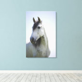 Porträt des weißen Pferdes 3 Leinwanddruck (Insitu (Holzboden))