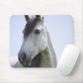 Porträt des weißen Pferdes Mousepad (Mit Mouse)