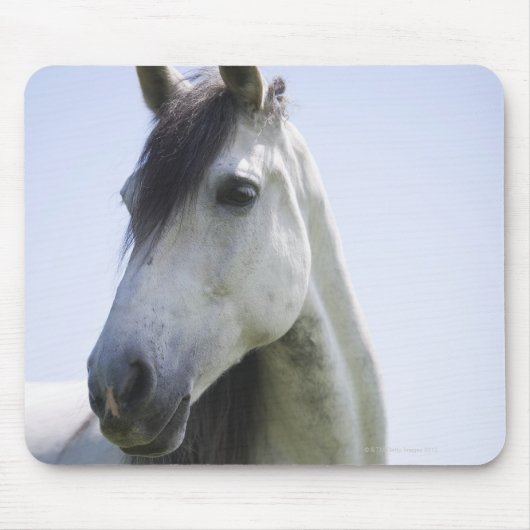 Porträt des weißen Pferdes Mousepad (Vorne)