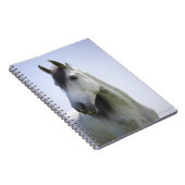Porträt des weißen Pferdes Notizblock (Rechte Seite)