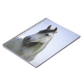 Porträt des weißen Pferdes Notizblock (Linke Seite)