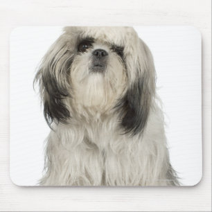 Porträt des Welpen des tibetanischen Terriers Mousepad