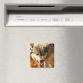 Porträt des Wölfels Magnet (In Situ (Geschirrspüler))